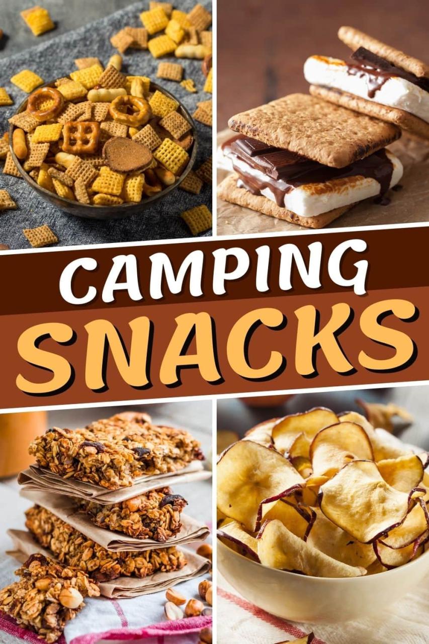 <h1>10 Must-Try Camping Snacks for Adults That Are Perfectly Delicious</h1>