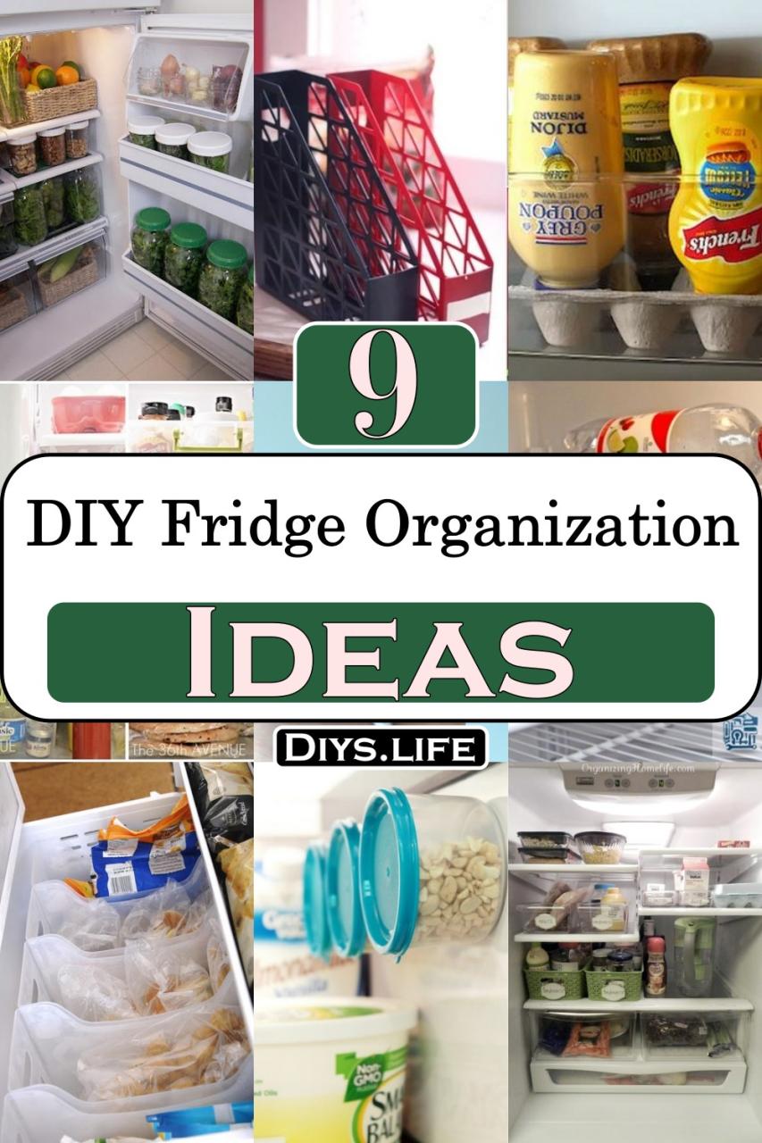 10 Fridge Organization Ideas for Single Doors That Simplify Your Life